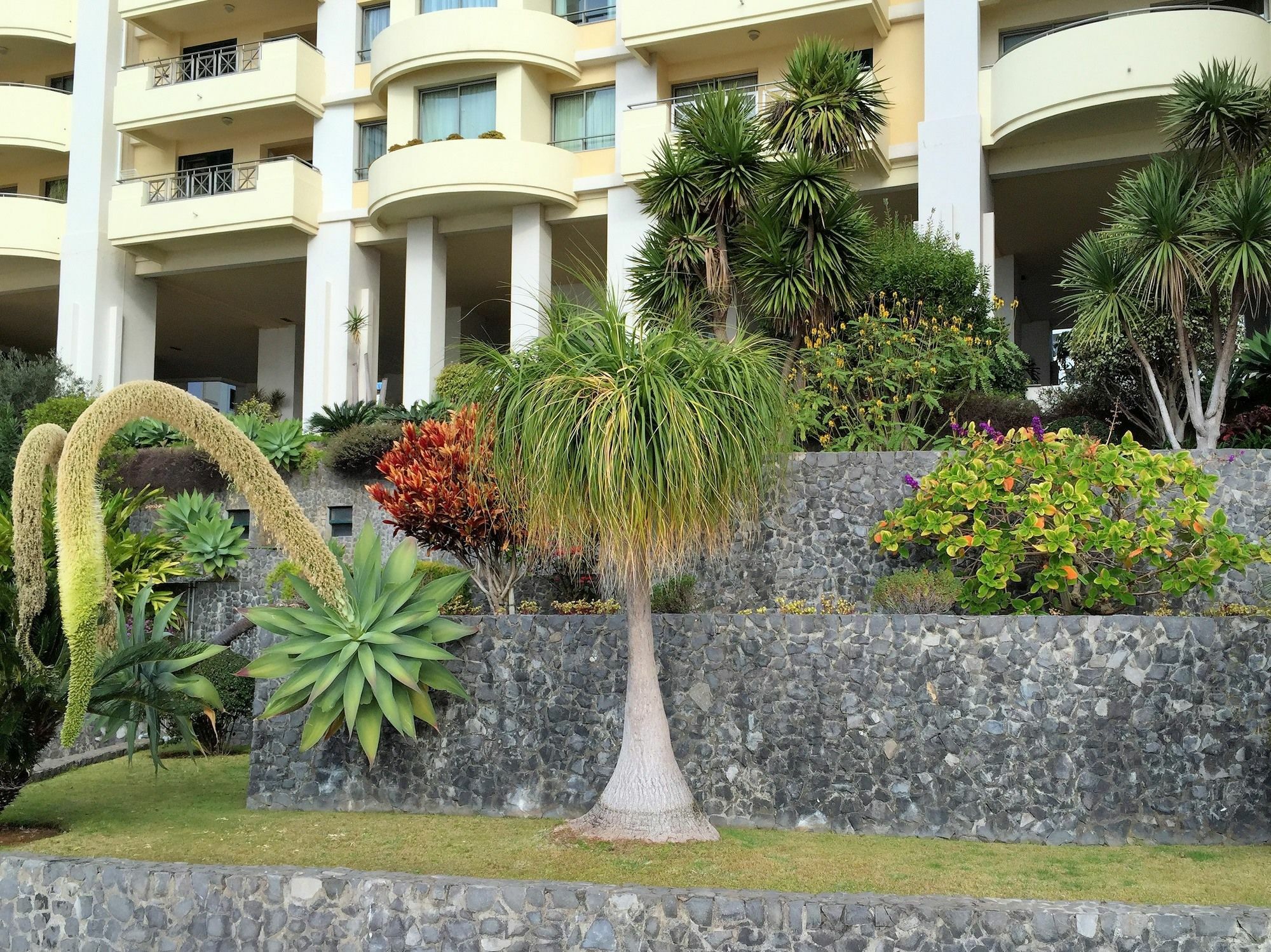Finest Rentals - Beachfront Penthouse Φουνκάλ Εξωτερικό φωτογραφία
